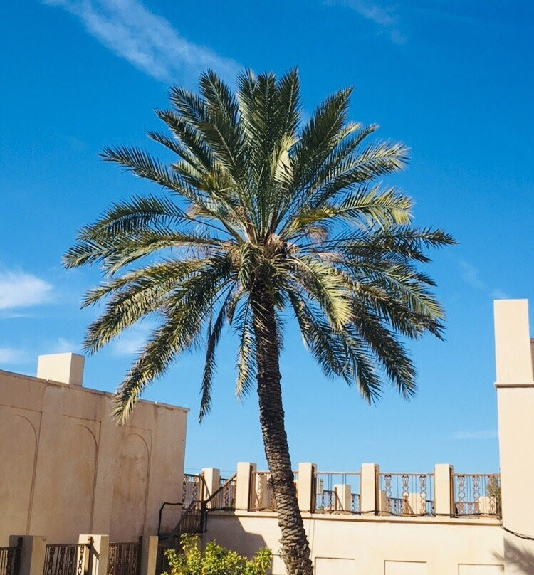 Dehdashti Edifice-Bushehr必去景点