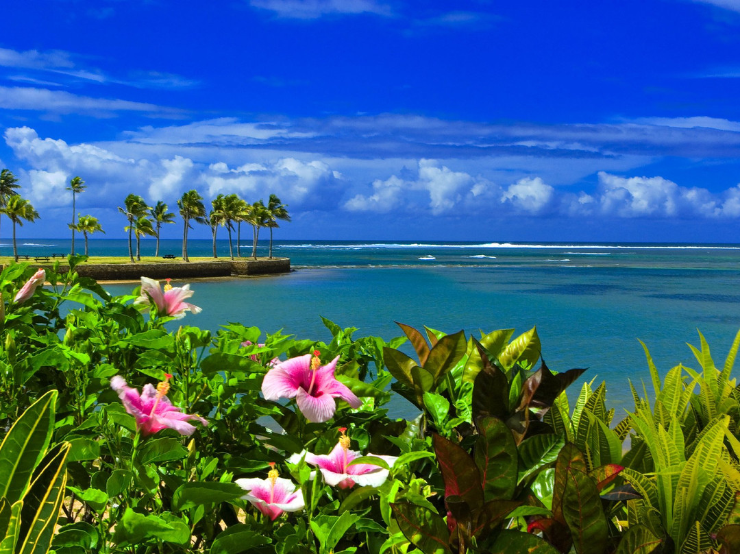 纳维蒂度假村主图