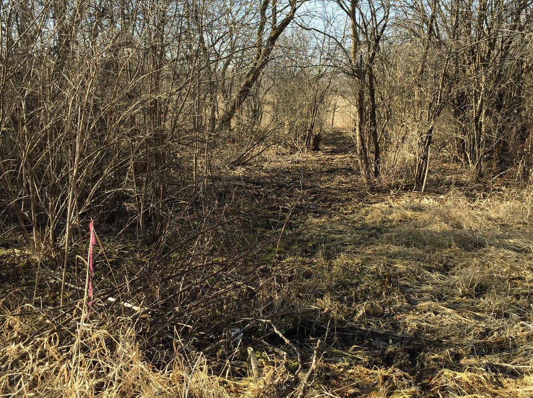 Pheasant Branch Creek Conservancy-Middleton必去景点