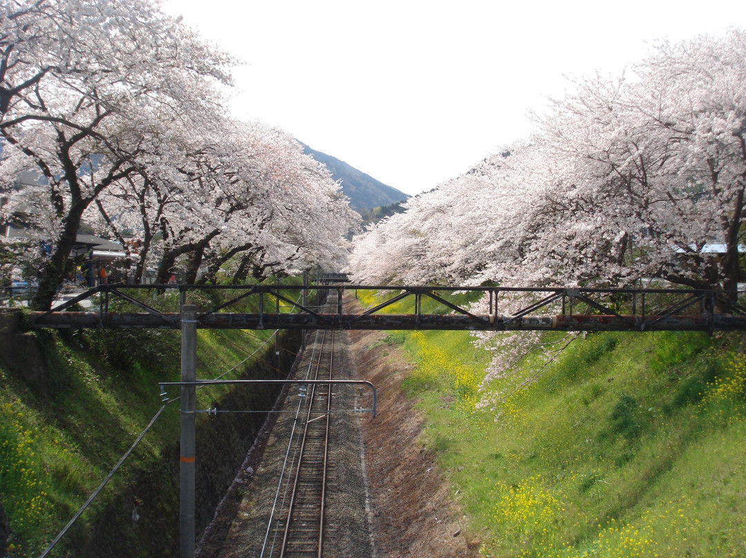 Yamakita-machi Furusato Koryu Center景点图片