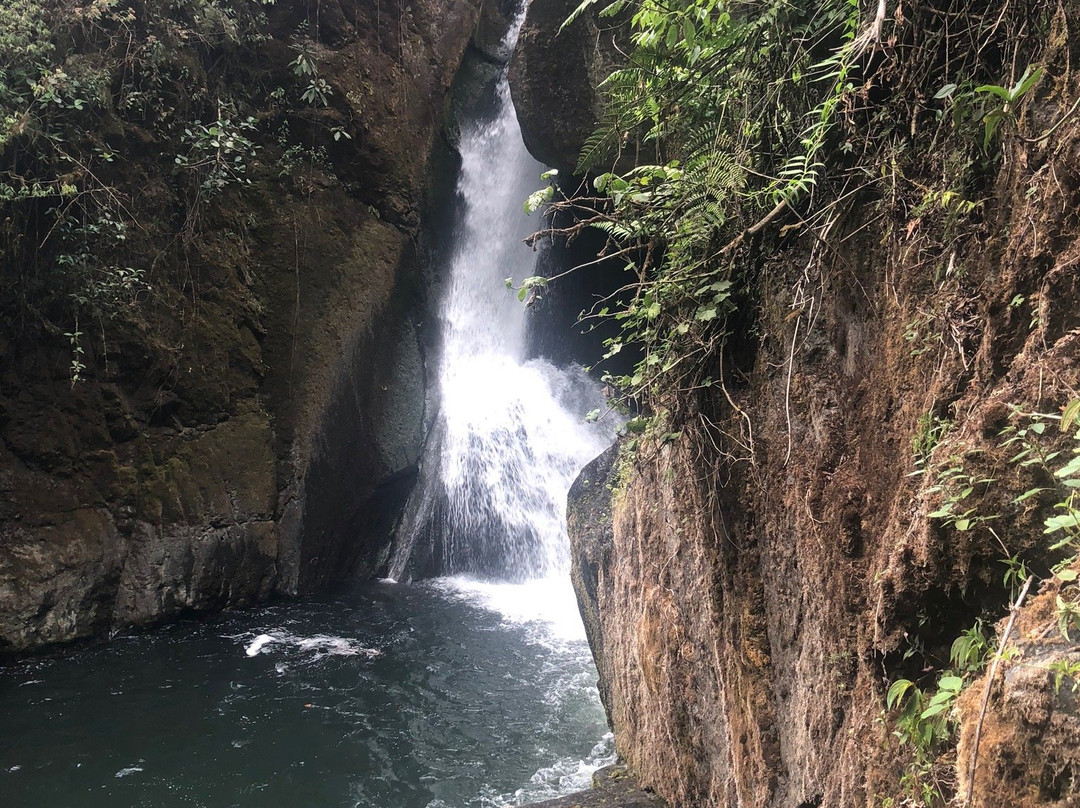 Rio savegre Waterfall景点图片