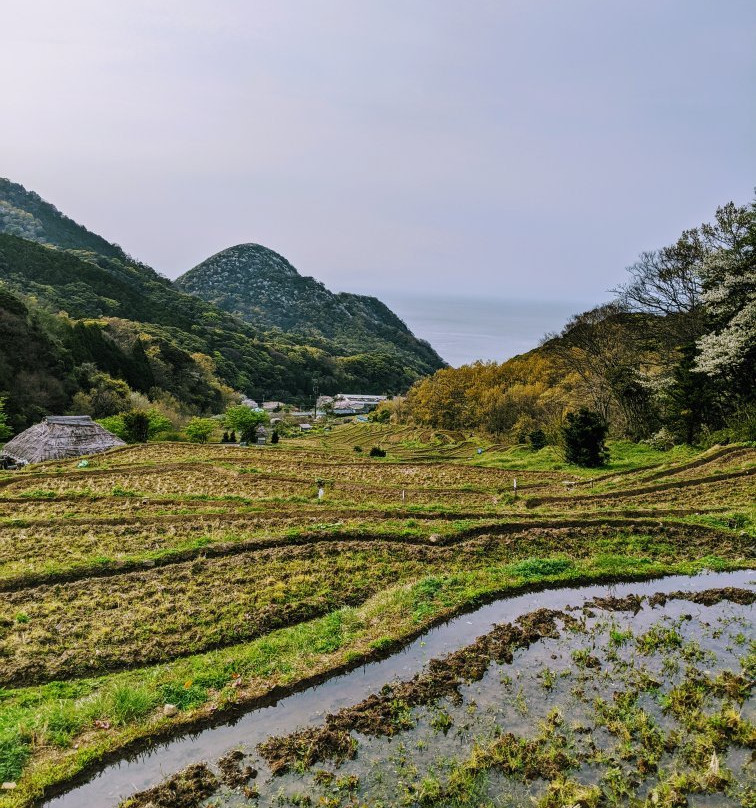 Terraced Paddies in Ishibe景点图片