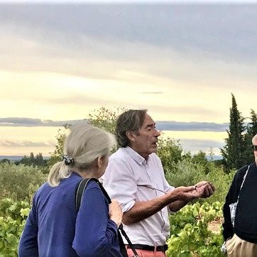 Private Wine Tasting Tours - Visites privées du domaine et dégustation
