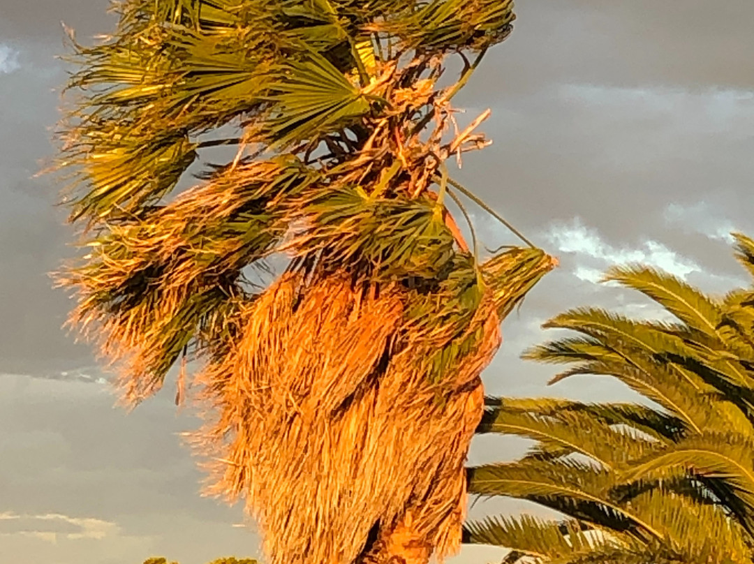 迪沙特精品酒店主图