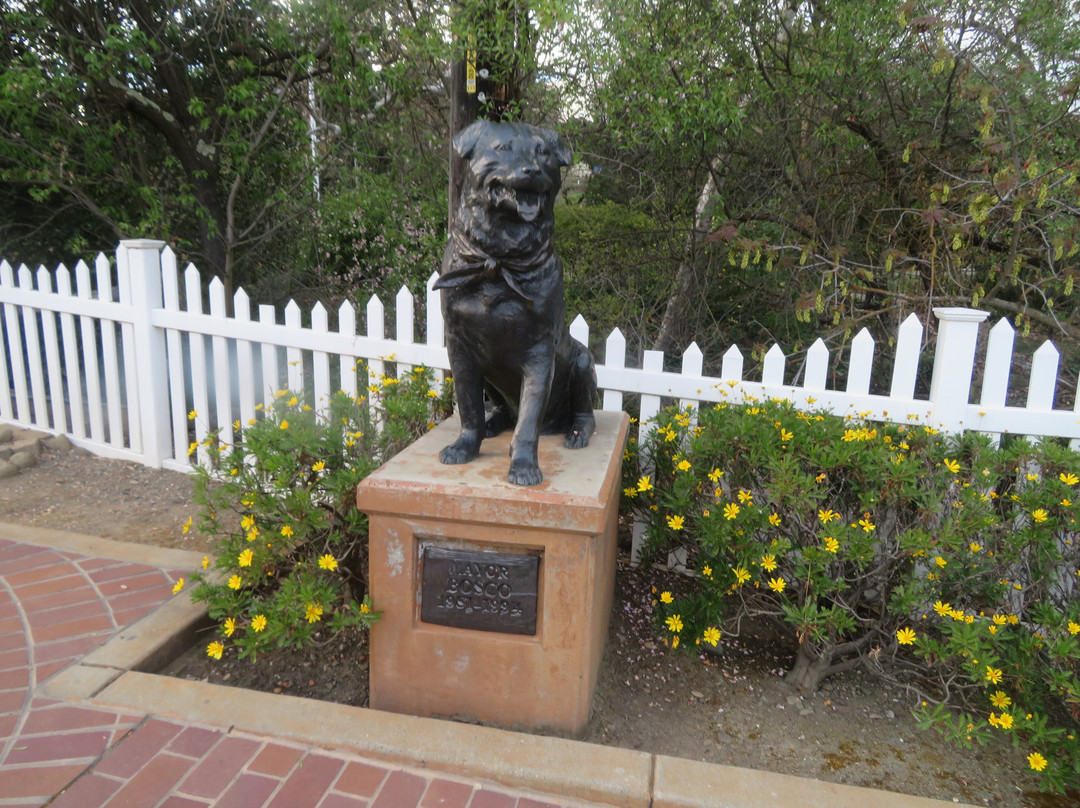 Boscoe The Dog Mayor-Sunol必去景点