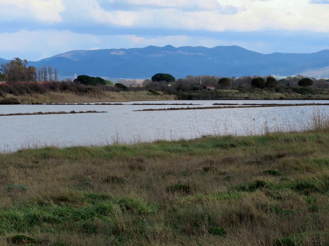 Saline di Tarquinia-塔尔奎尼亚必去景点