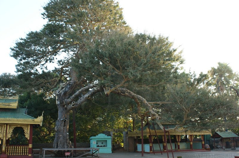 Lawkananda Pagoda-蒲甘必去景点