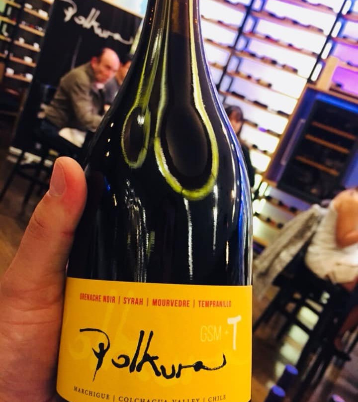 Santiago Wine Club Temuco景点图片