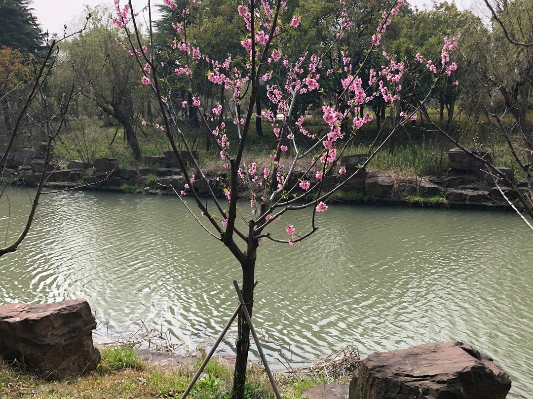 狼山-南通市必去景点