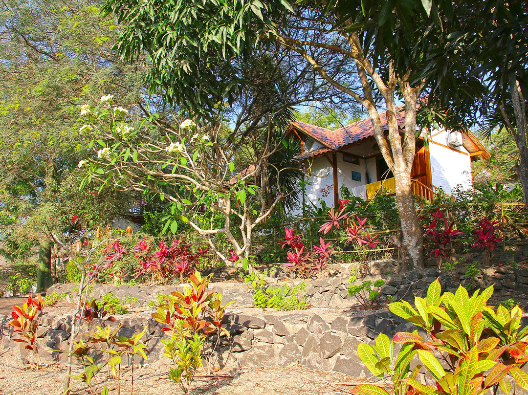 Hosteria La Terraza主图