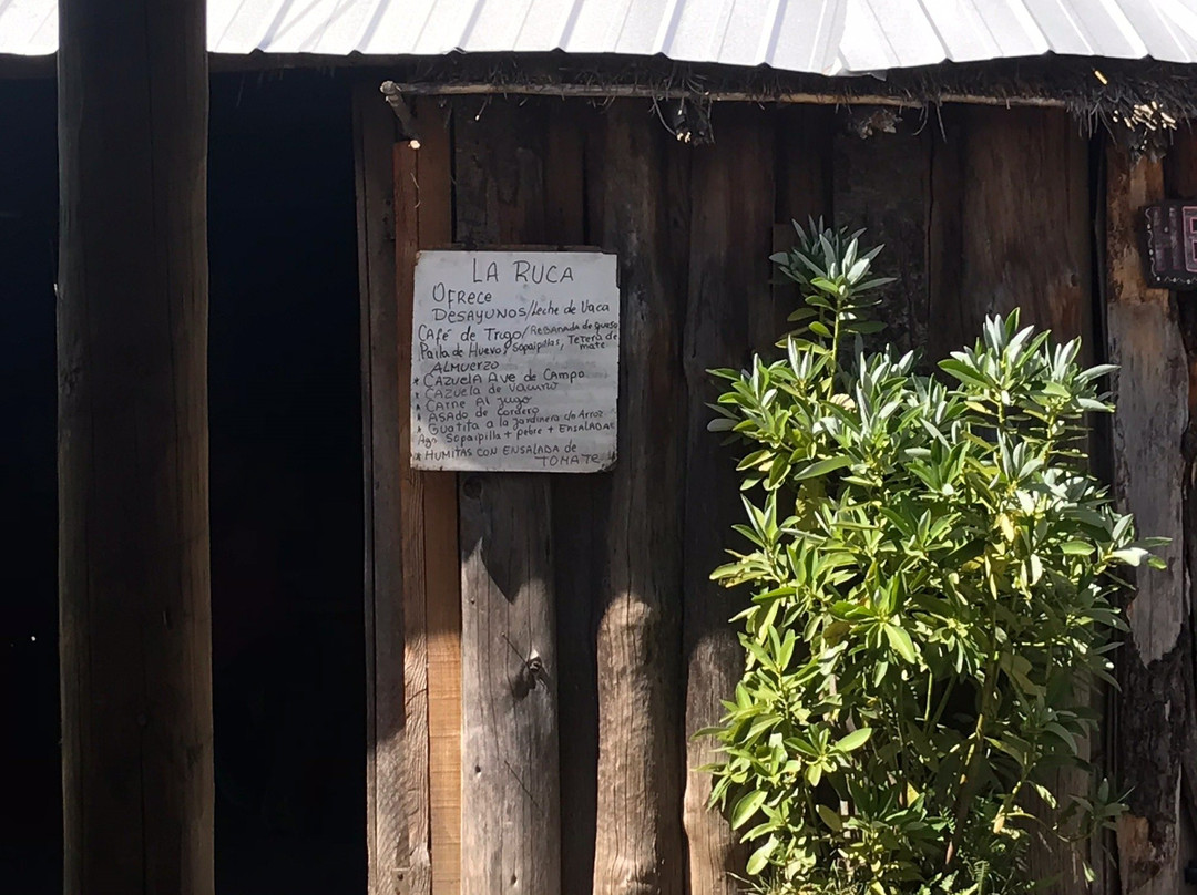 Mercado Nehuen-比亚里卡必去景点