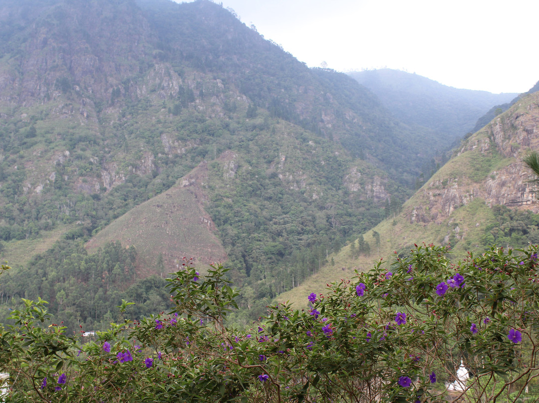 Grace Holiday Bungalow主图