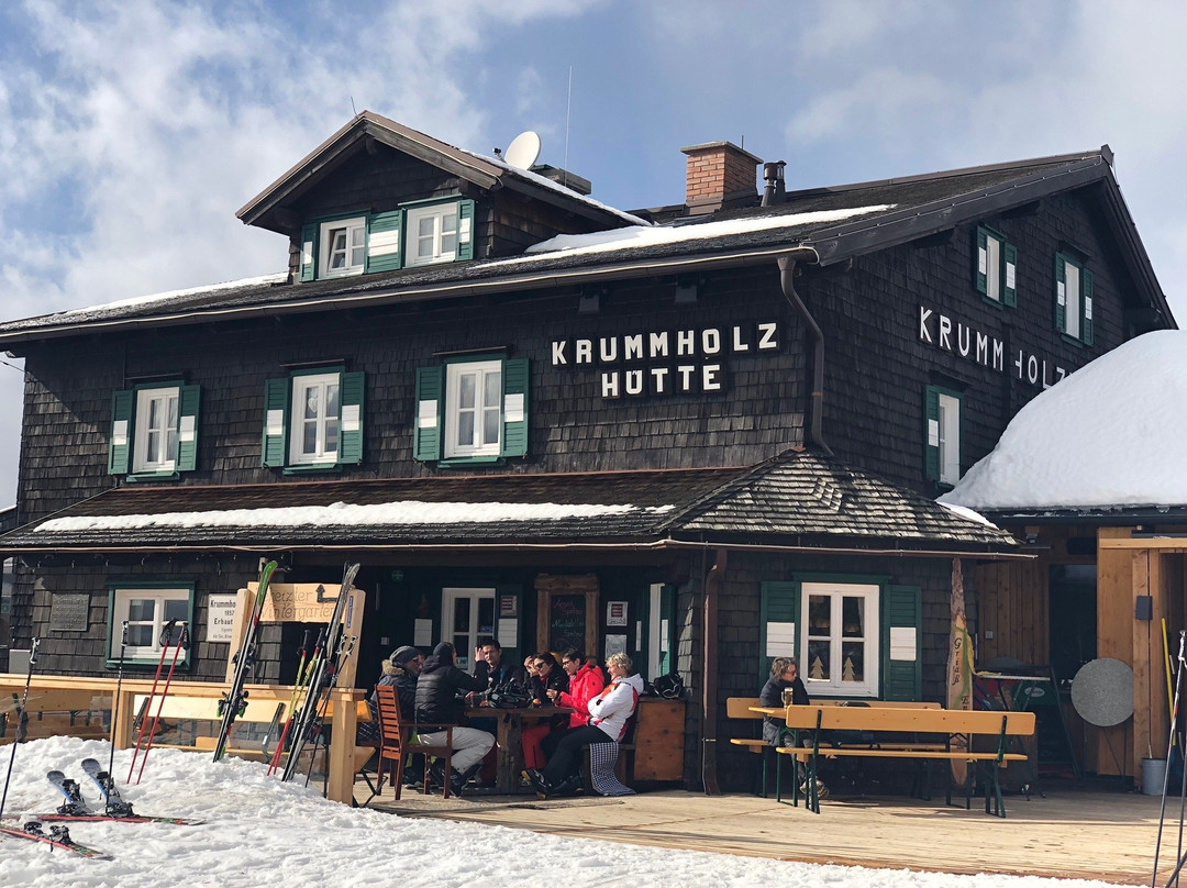 Krummholzhuette主图