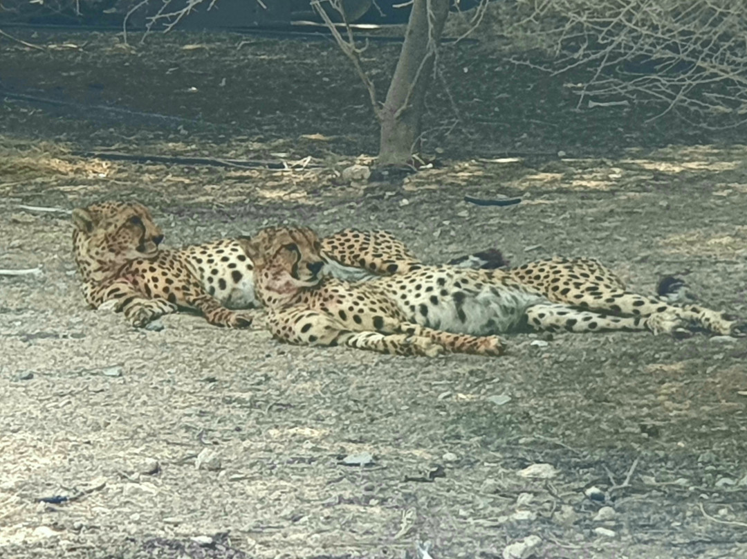 Arabian Wildlife Park-萨巴尼亚岛必去景点