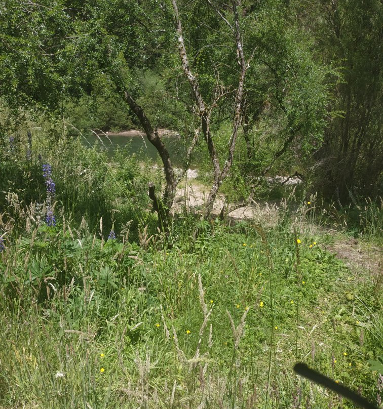 Parque Aiken del Sur-Puerto Chacabuco必去景点