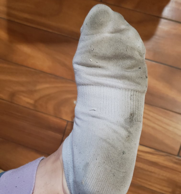 Knights Inn Port Charlotte主图