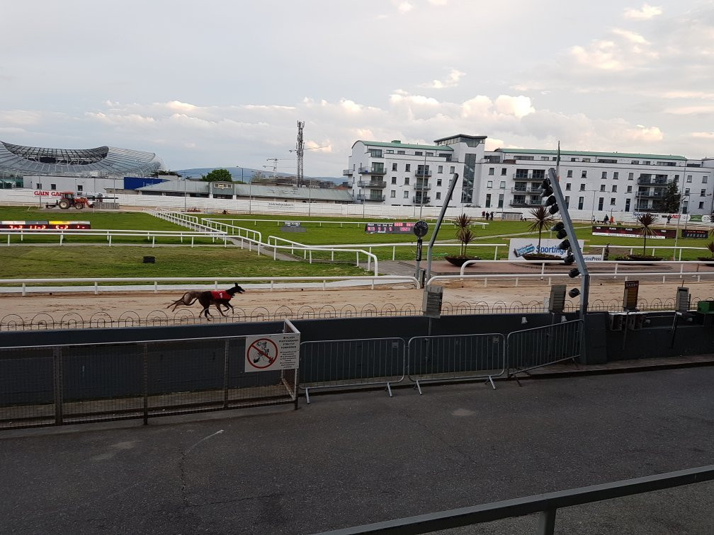 Shelbourne Park Greyhound Stadium景点图片