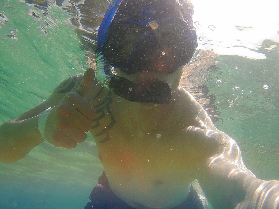 Albitours Cartagena-卡塔赫纳必去景点