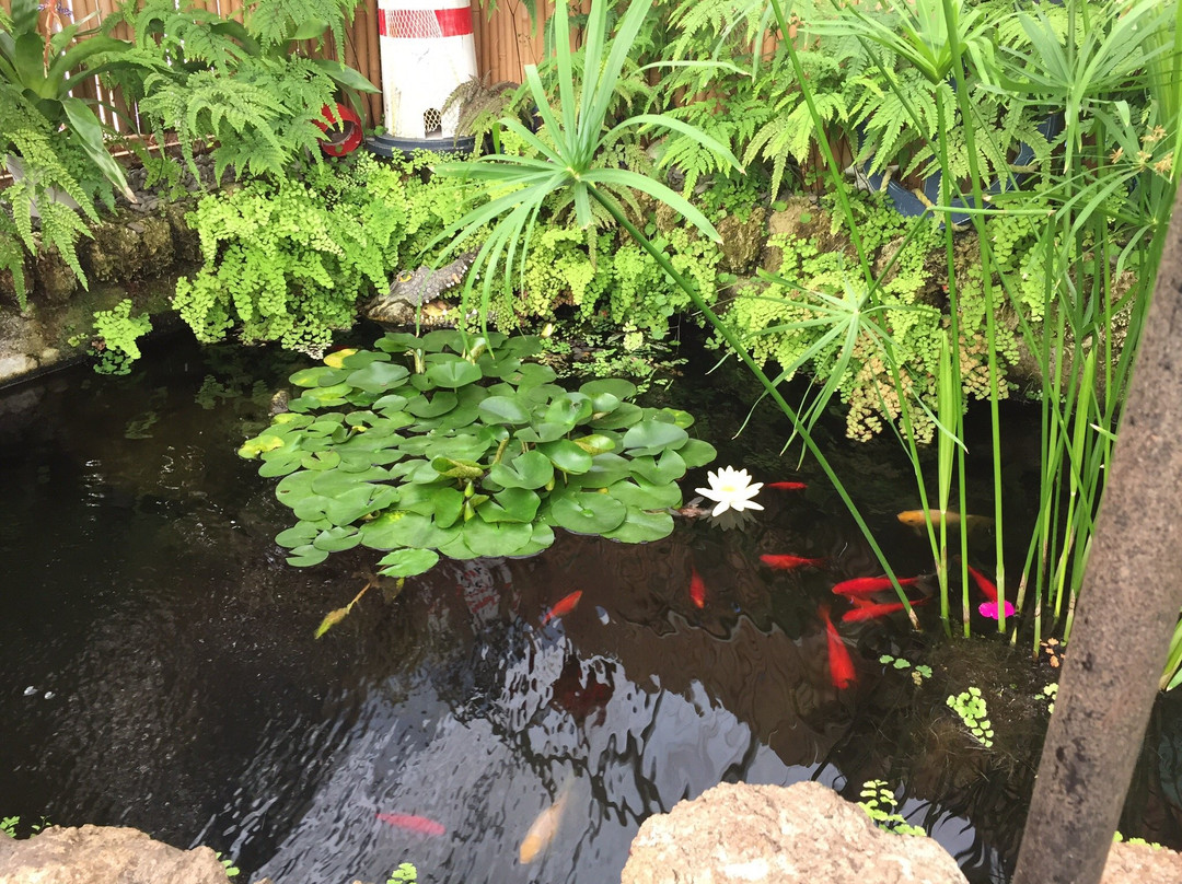 Wanganui Winter Garden-旺加努伊必去景点