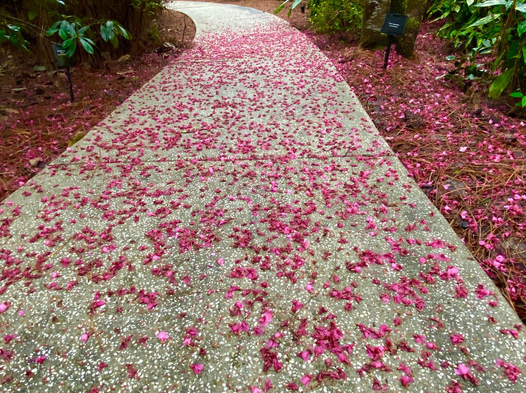 Mobile Botanical Gardens-莫比尔必去景点