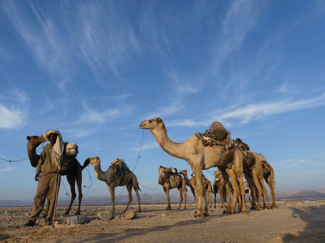 Rock Ethiopia Tours景点图片