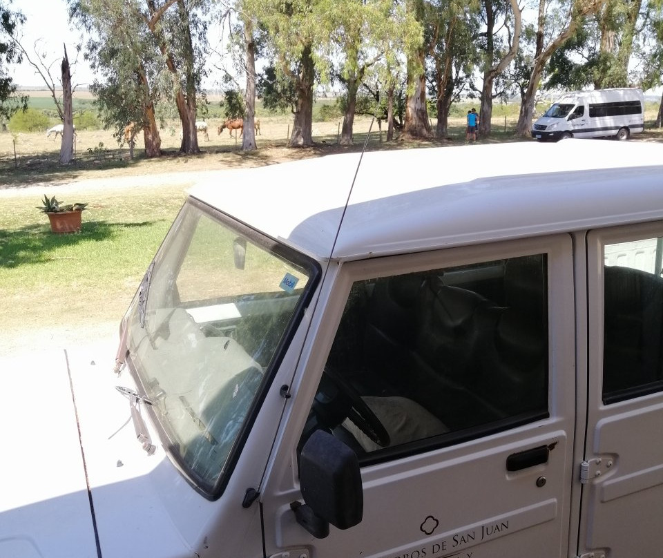 Bodega Los Cerros De San Juan-科洛尼亚·德尔萨克拉门托城必去景点