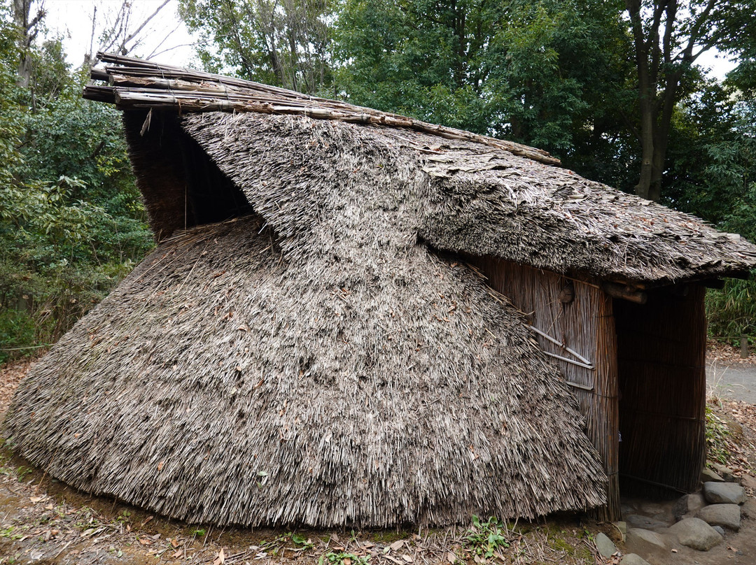Tokyo Metropolitan Archaeological Center-多摩市必去景点
