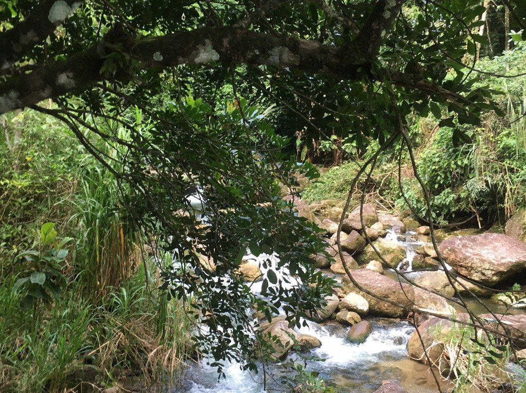 Cachoeira das Andorinhas-Silva Jardim必去景点