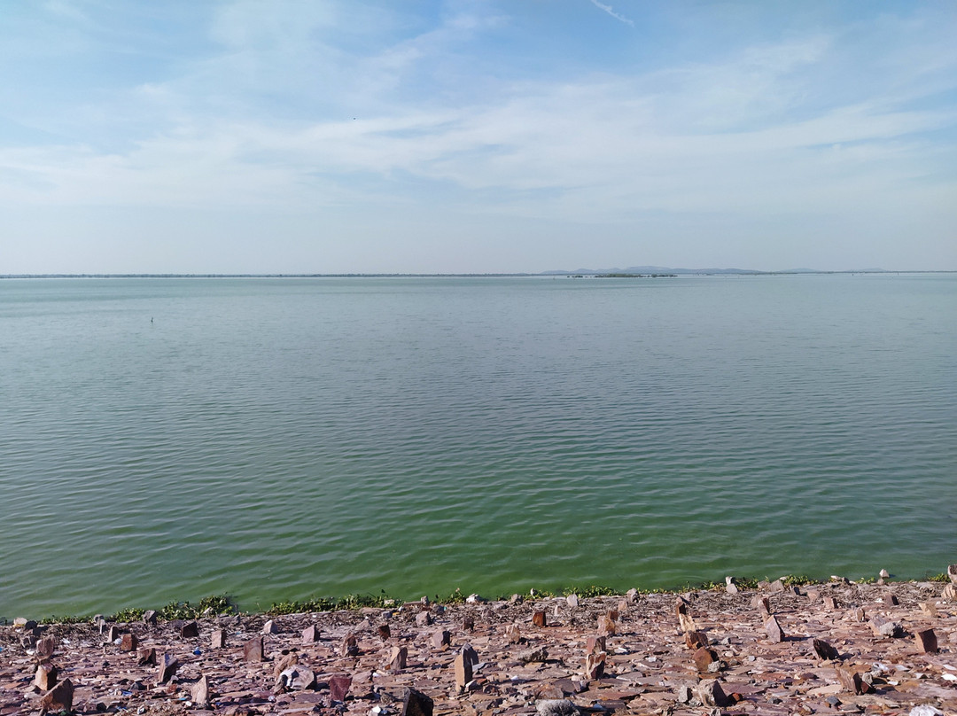 Indirasagar Dam (Gosikhurd Project)景点图片