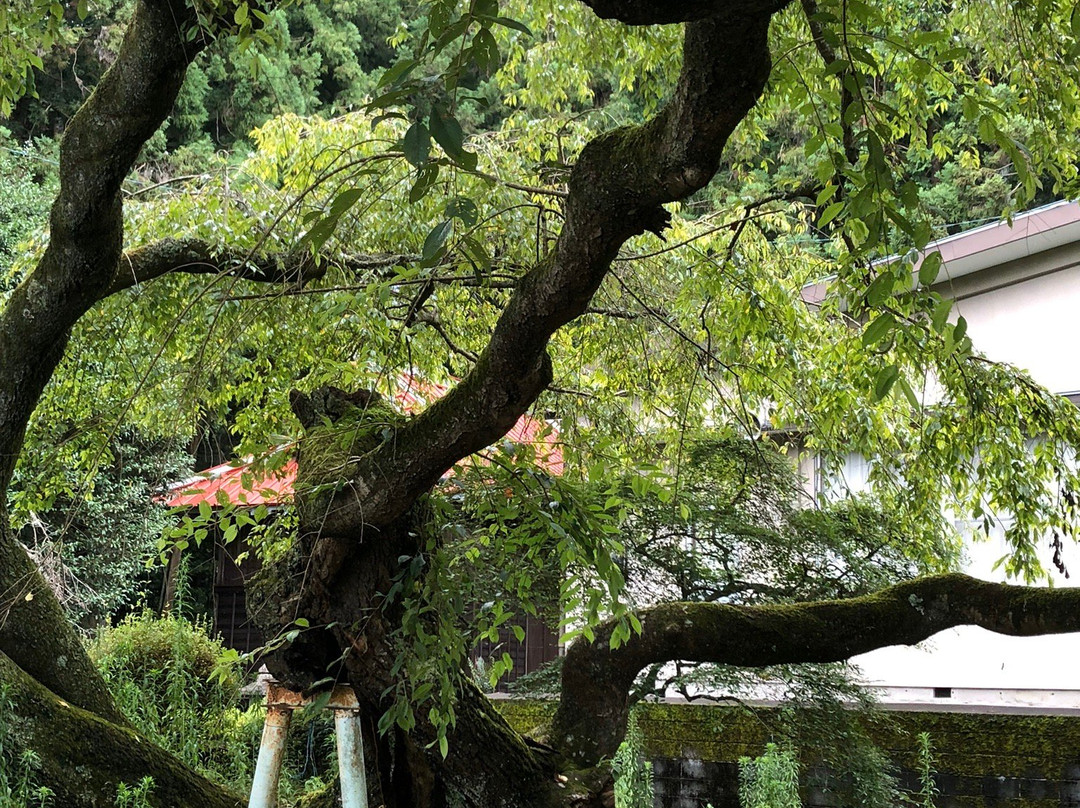 Yamamiyasengen Shrine景点图片
