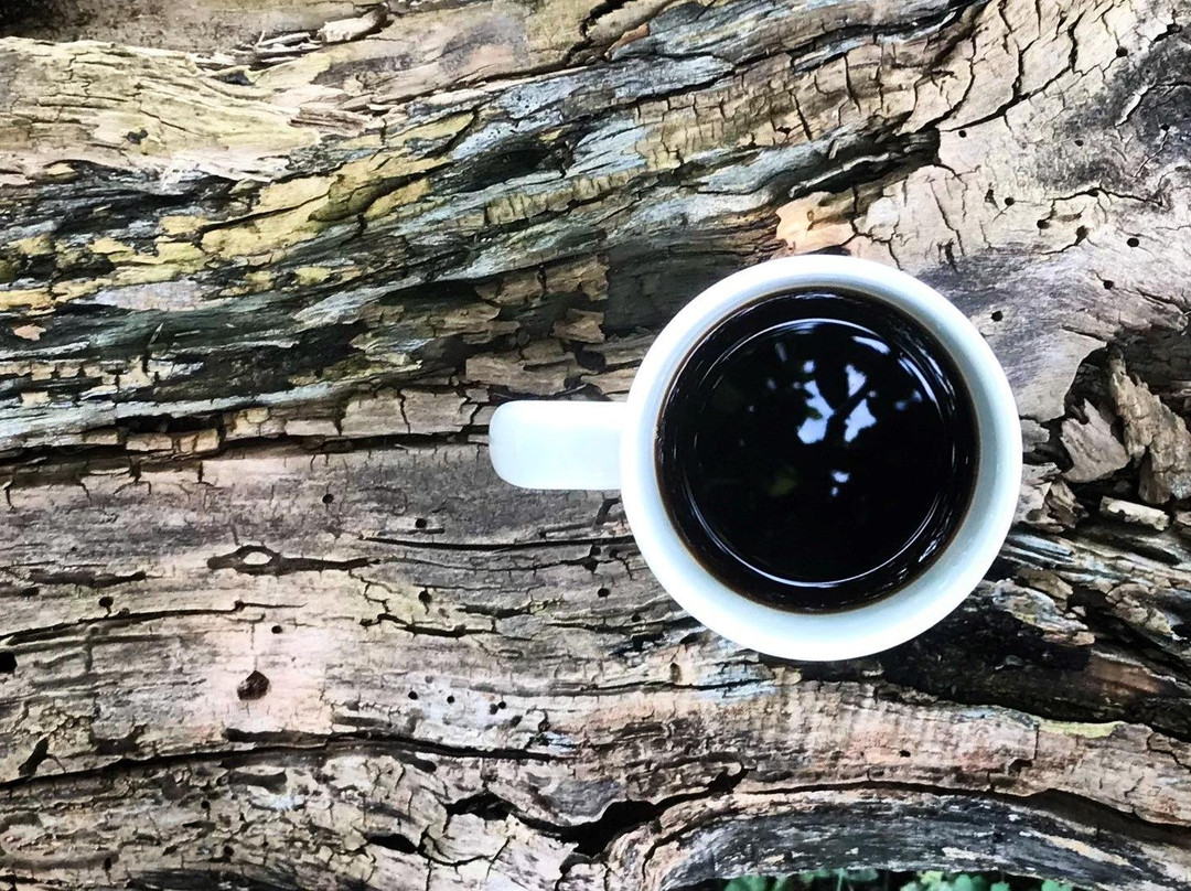 14th Coffee Co. Roastery-Essex必去景点