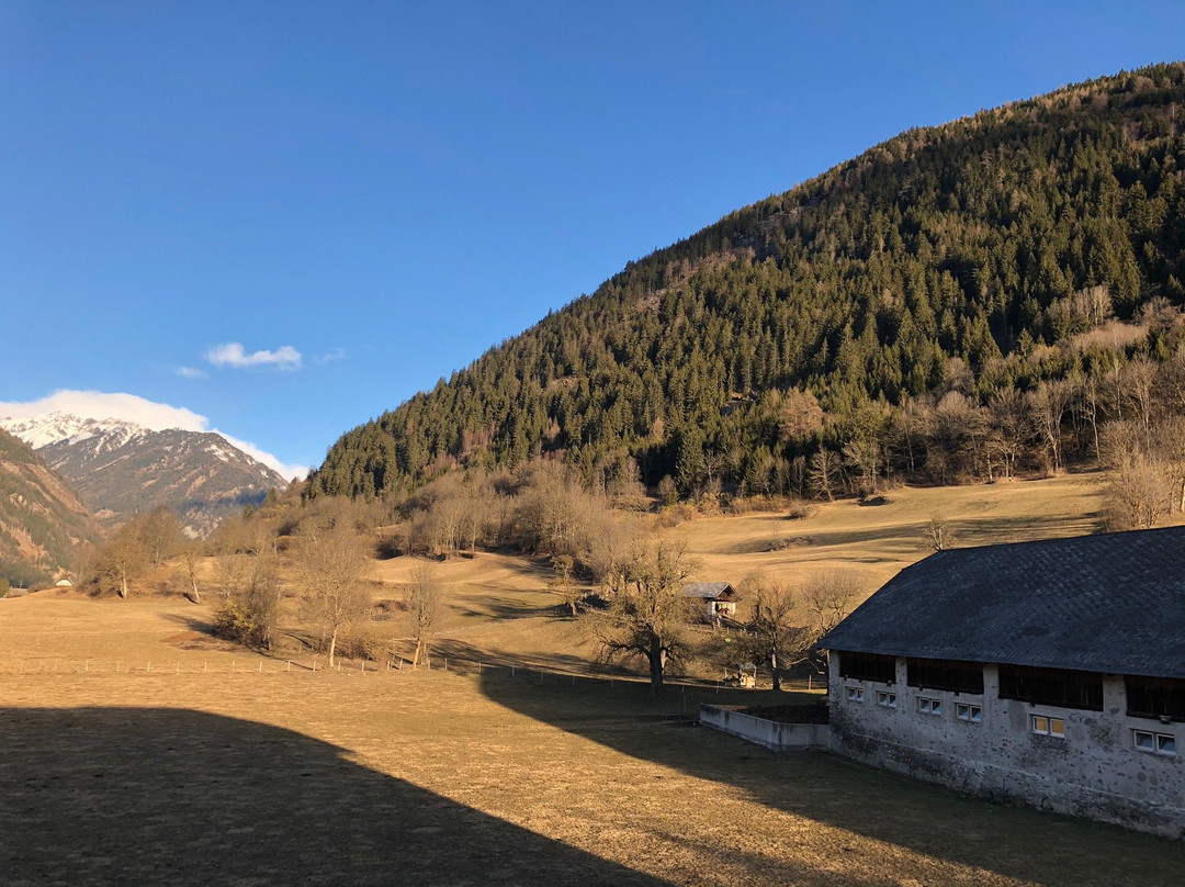 Hotel Malteinerhof主图