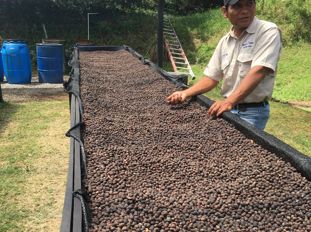 Boquete Valley Ruiz Coffee Shop-波魁特必去景点