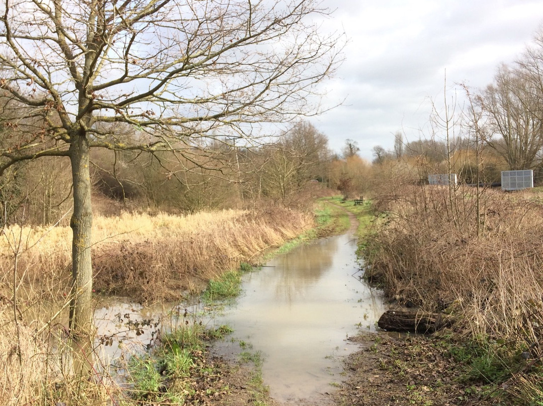 Davy Down Country Park景点图片