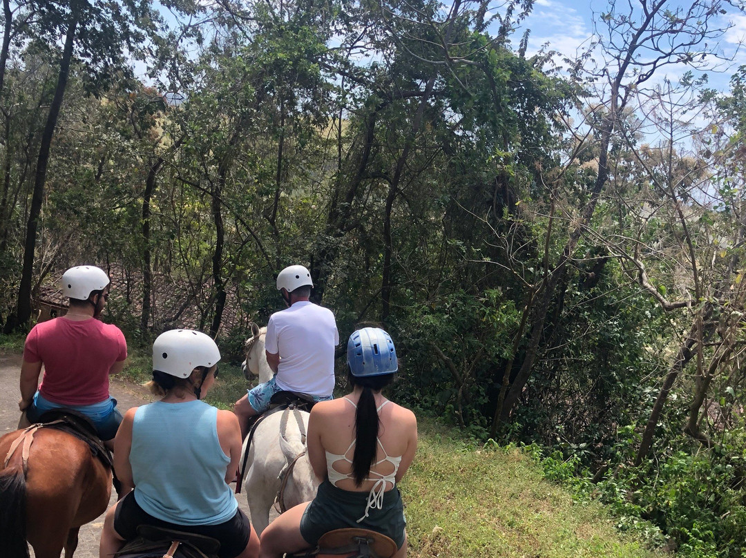 Marco tours-利比里亚必去景点