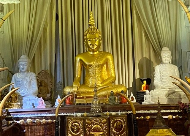 Sea Wings Holidays & Lanka Travels景点图片