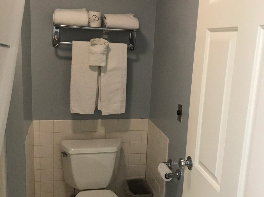 Fontana Village Inn主图