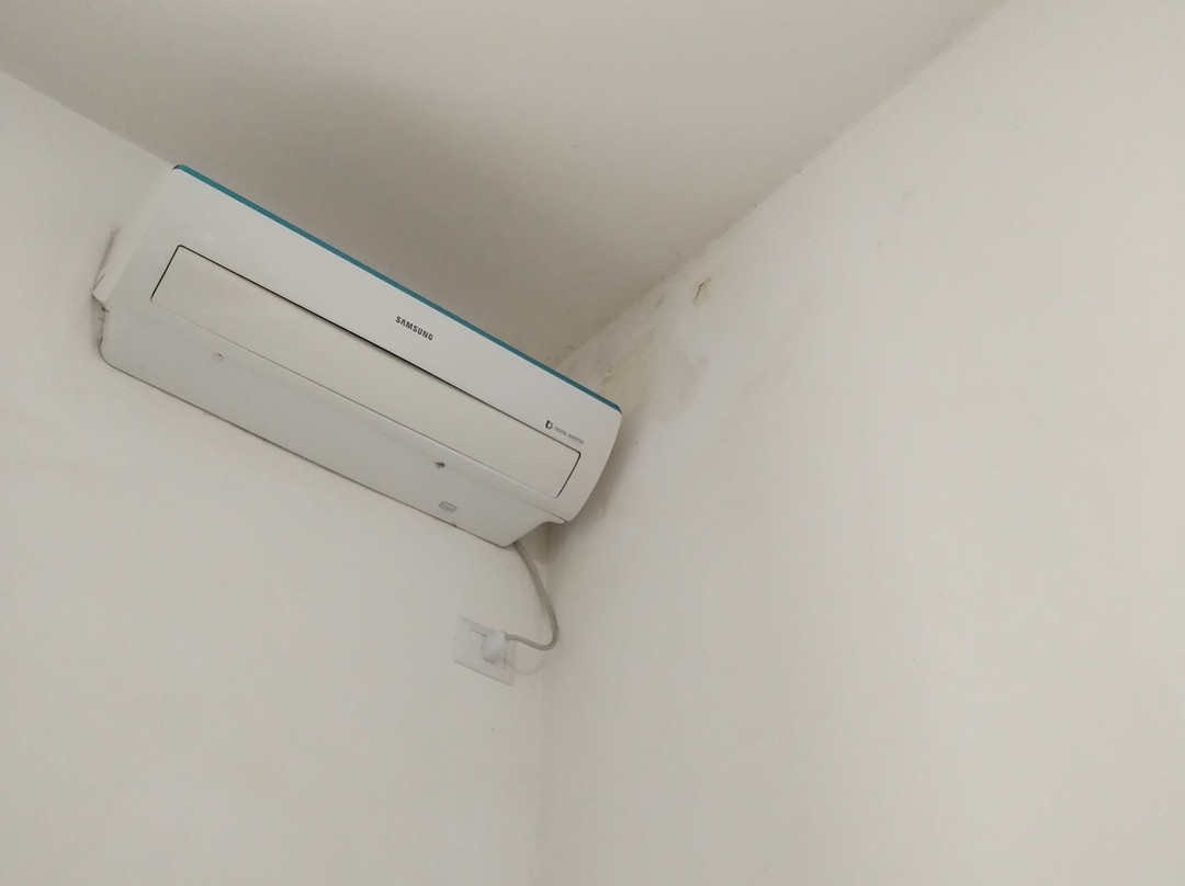 Lady B Bed & Breakfast主图