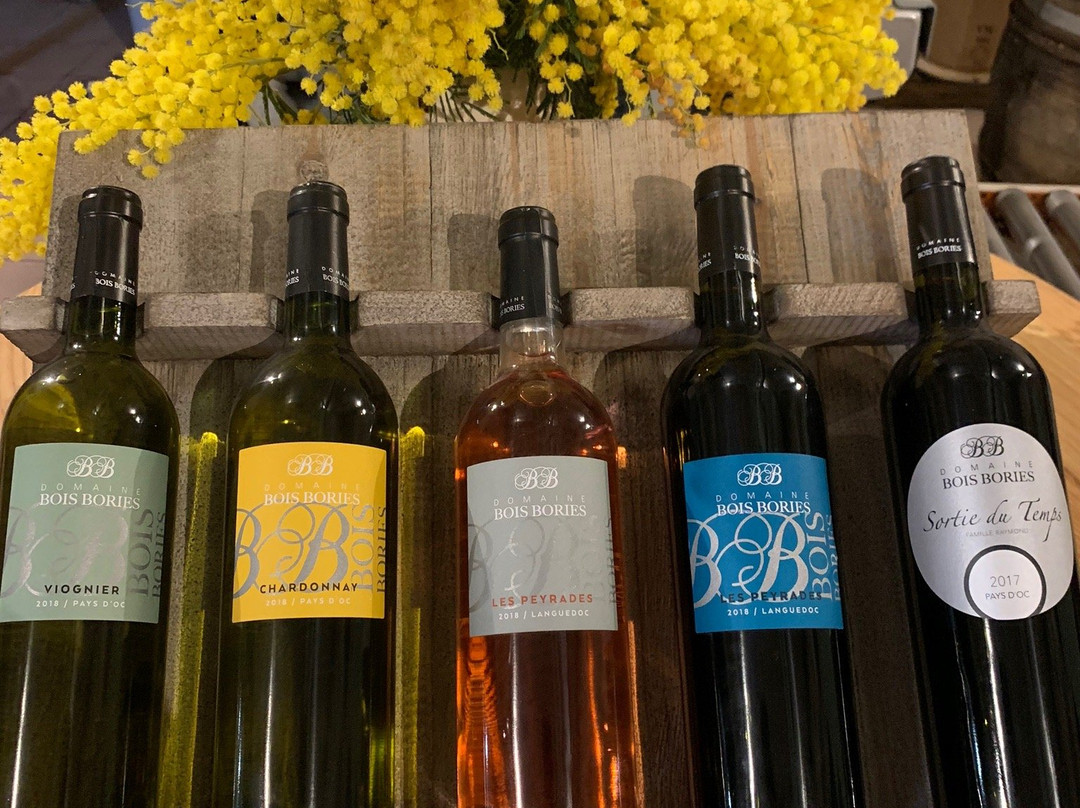 Domaine Bois Bories-Clermont l'Herault必去景点