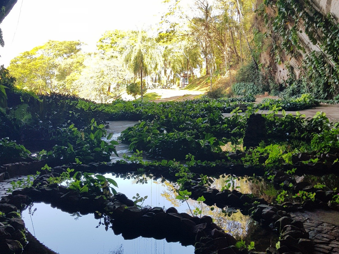 Gruta Dos Palhares景点图片