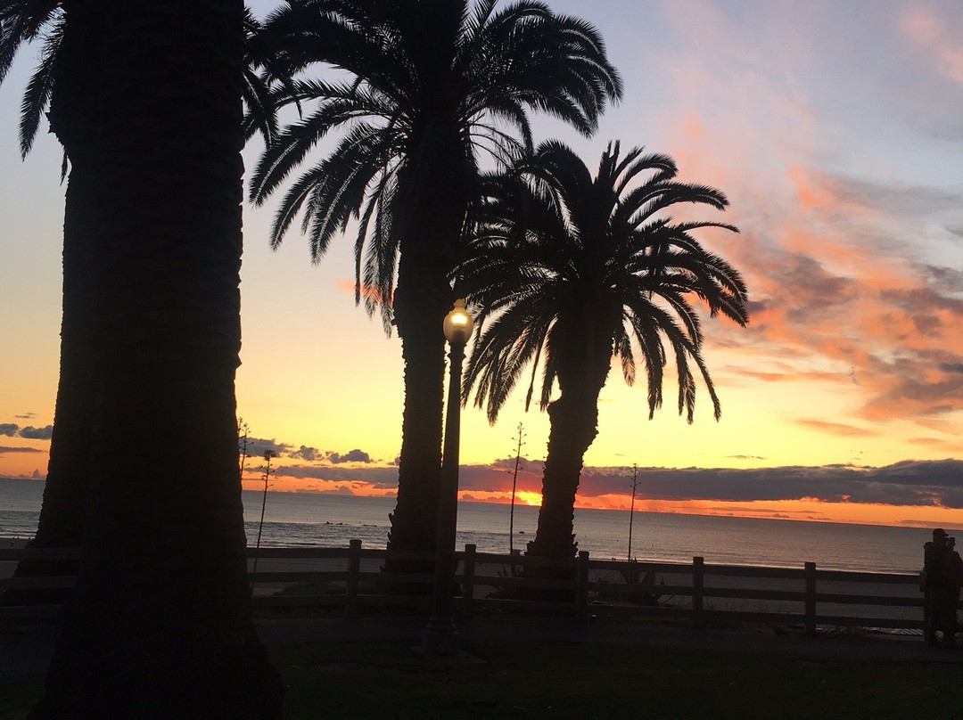 VAS Transportation LLC-园林必去景点