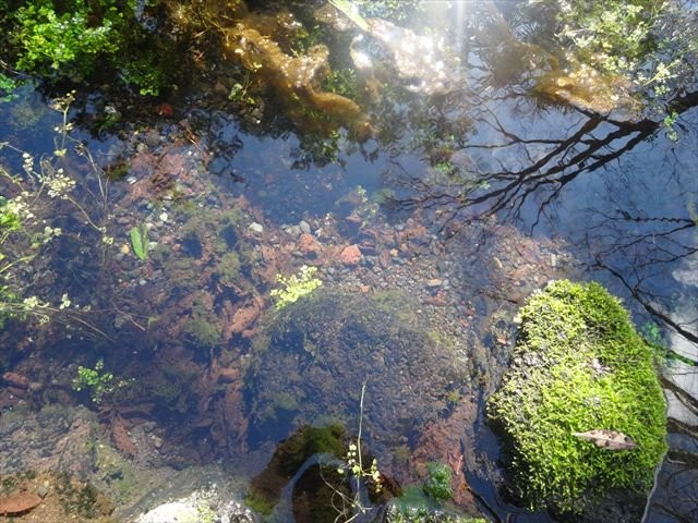 Shirataki Park-三岛市必去景点