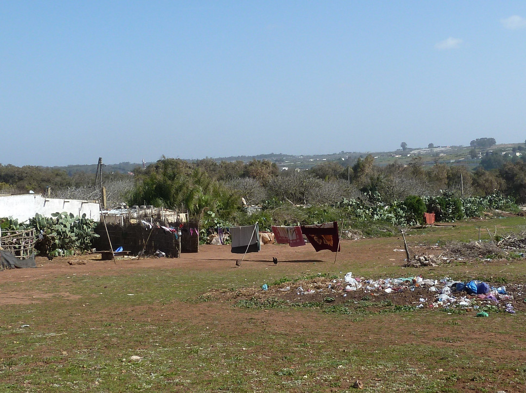The Montgomerie Rabat Course-Bouknadel必去景点