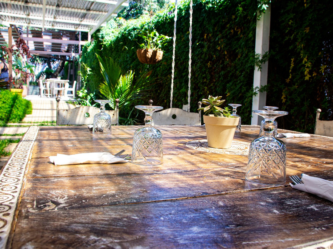 Ditsu Nutricion y Mercado Organico