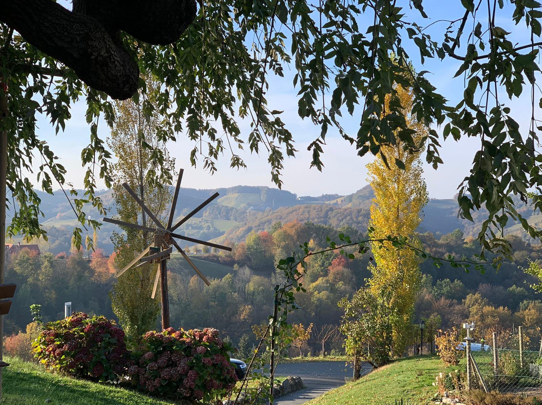 Weingut Skoff主图