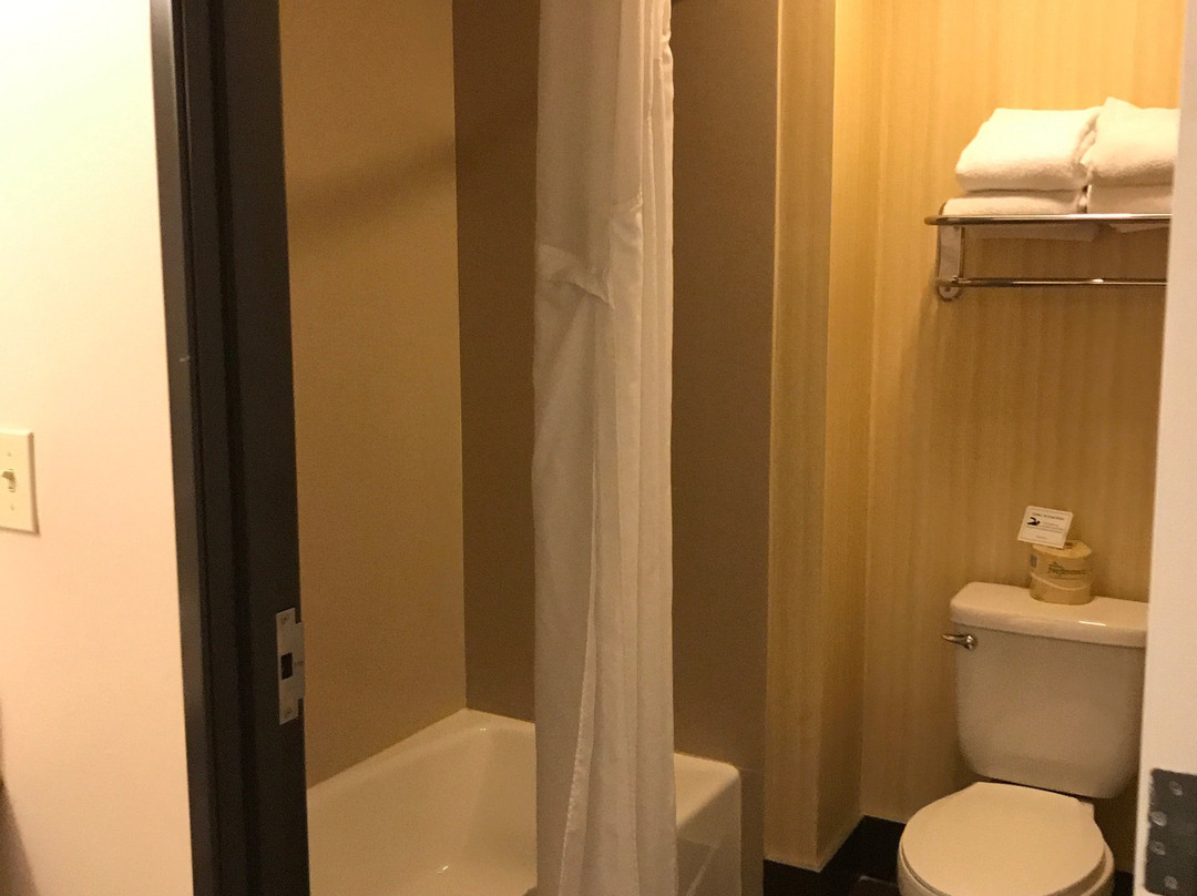 二十九棕榈村快捷假日&套房酒店主图