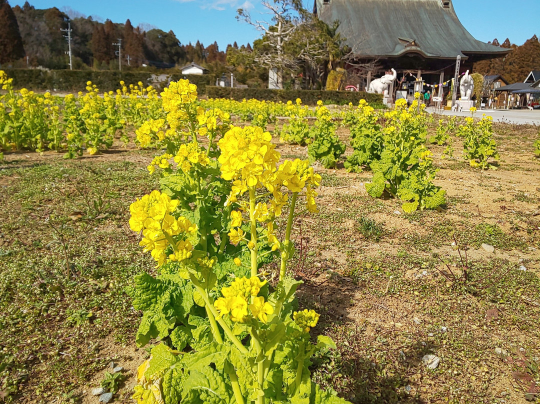 Chofukujuji Temple-长南町必去景点