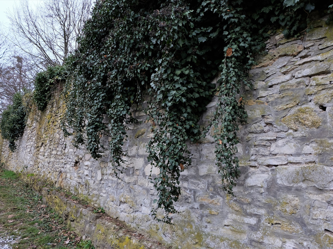 Schoeninger Wallgarten景点图片