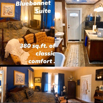 Aunt M's Illustrated Inn主图