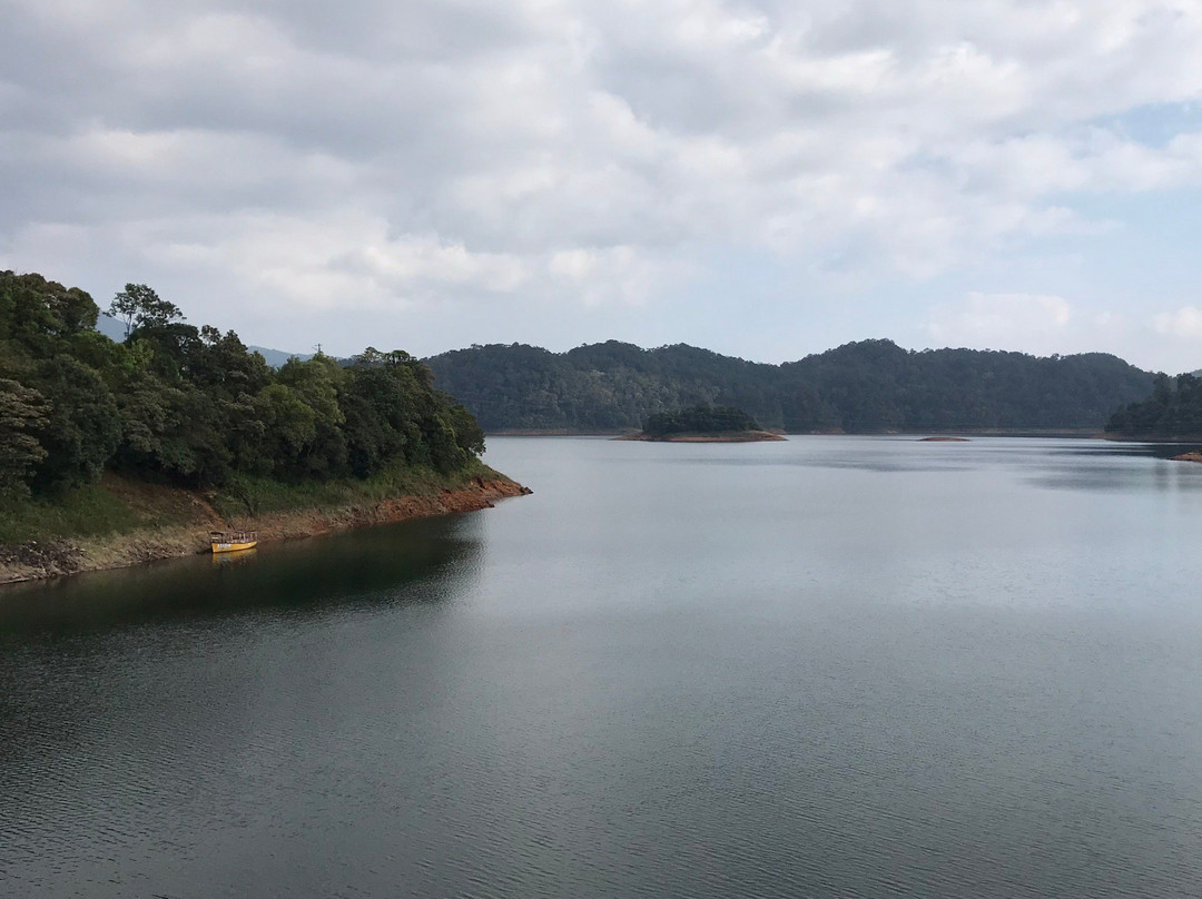 Gavi Forest-帖可迪必去景点